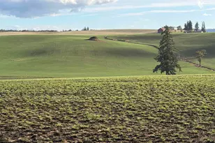 39986 Gisler Rd, Scio, OR 97374 - Photo 40