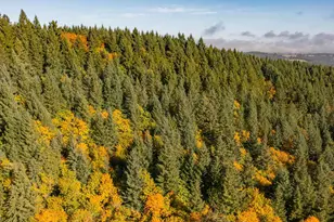 17925 Brown Rd, Dallas, OR 97338 - Photo 14