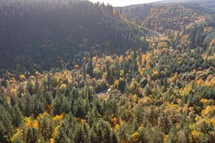 17925 Brown Rd, Dallas, OR 97338 - Photo 8