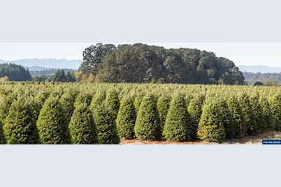 25110 SW Red Prairie Rd, Sheridan, OR 97378 - Photo 22