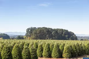 25110 SW Red Prairie Rd, Sheridan, OR 97378 - Photo 22