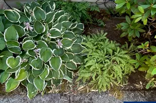 936 Kingwood Dr NW, Salem, OR 97304 - Photo 48