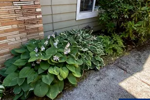 936 Kingwood Dr NW, Salem, OR 97304 - Photo 42