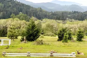 24312 Cardwell Hill Dr, Philomath, OR 97370 - Photo 32
