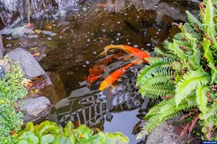 391 McNary Heights Dr N, Keizer, OR 97303 - Photo 8