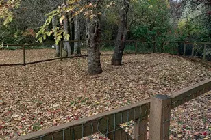 3146 NW Greenbriar Pl, Corvallis, OR 97330 - Photo 4