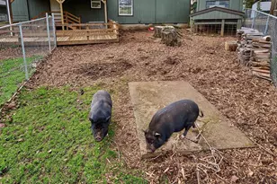 6288 Sherman Rd SE, Aumsville, OR 97325 - Photo 28