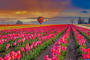 651 Merriott Ln, Woodburn, OR 97071 - Photo 20