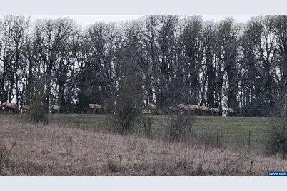 24088 SW Highway 18 Hwy, Sheridan, OR 97378 - Photo 46