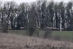 24088 SW Hwy 18 Hwy, Sheridan, OR 97378 - Photo 46