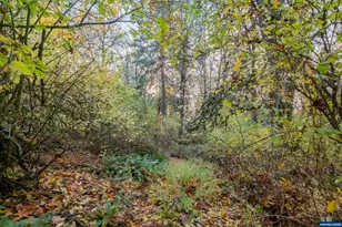 6000 River Rd S, Salem, OR 97302 - Photo 42