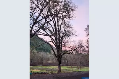 9740 Upper Olalla Rd, Winston, OR 97496 - Photo 42