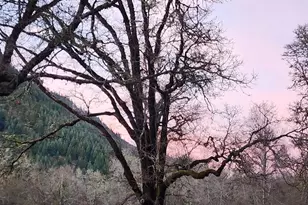 9740 Upper Olalla Rd, Winston, OR 97496 - Photo 42