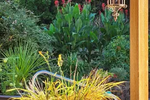 9740 Upper Olalla Rd, Winston, OR 97496 - Photo 32