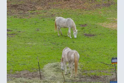 9740 Upper Olalla Rd, Winston, OR 97496 - Photo 28