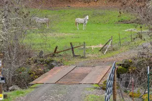 9740 Upper Olalla Rd, Winston, OR 97496 - Photo 28
