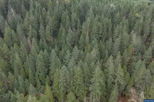 9740 Upper Olalla Rd, Winston, OR 97496 - Photo 42