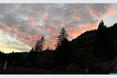 9740 Upper Olalla Rd, Winston, OR 97496 - Photo 40