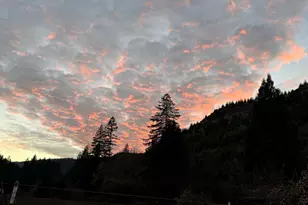 9740 Upper Olalla Rd, Winston, OR 97496 - Photo 40