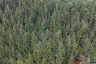 9740 Upper Olalla Rd, Winston, OR 97496 - Photo 38