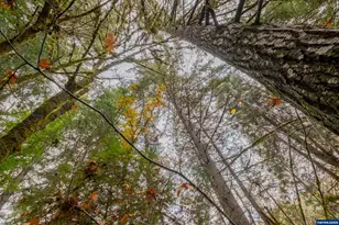 9740 Upper Olalla Rd, Winston, OR 97496 - Photo 36