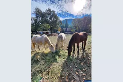 9740 Upper Olalla Rd, Winston, OR 97496 - Photo 26