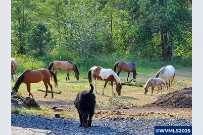 9740 Upper Olalla Rd, Winston, OR 97496 - Photo 24
