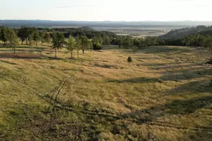 Lot 1 Dr, Harrisburg, OR 97446 - Photo 1