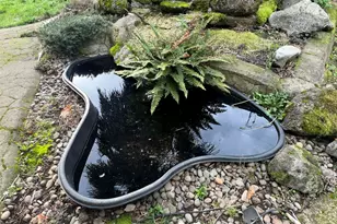 1083 N Douglas Ave, Stayton, OR 97383 - Photo 46