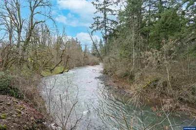 16695 Dancing Fox Ln, Silverton, OR 97381 - Photo 42