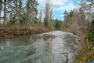 16695 Dancing Fox Ln, Silverton, OR 97381 - Photo 44