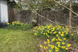 961 NW Ironwood Ave, Corvallis, OR 97330 - Photo 44