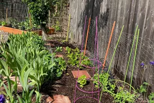 961 NW Ironwood Ave, Corvallis, OR 97330 - Photo 48