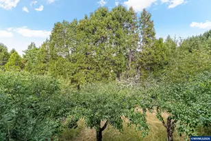 3550 NW Glen Ridge Pl, Corvallis, OR 97330 - Photo 28