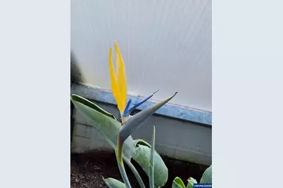 15924 Jackpine Rd, La Pine, OR 97739 - Photo 44