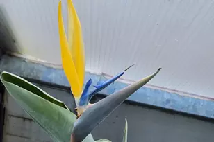 15924 Jackpine Rd, La Pine, OR 97739 - Photo 44