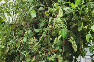 15924 Jackpine Rd, La Pine, OR 97739 - Photo 48