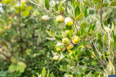 2535 Liberty Rd, Dallas, OR 97338 - Photo 20