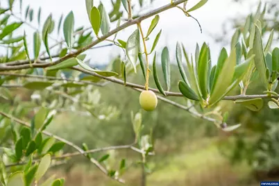 2535 Liberty Rd, Dallas, OR 97338 - Photo 16