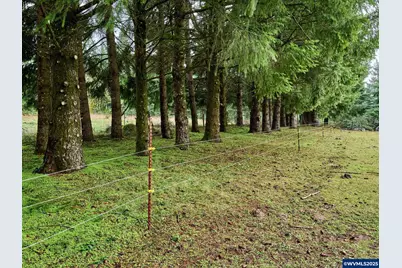 20788 Hazelnut Ridge Rd NE, Scotts Mills, OR 97375 - Photo 32