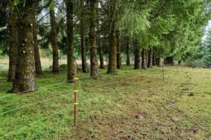 20788 Hazelnut Ridge Rd NE, Scotts Mills, OR 97375 - Photo 32