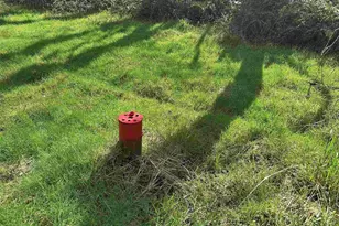 26622 Fudge Rd, Alsea, OR 97324 - Photo 10