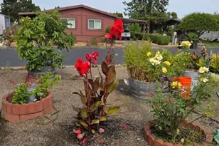 2723 Oakland Lp SE, Salem, OR 97317 - Photo 28