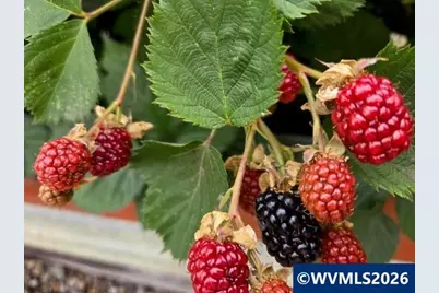 2723 Oakland Lp SE, Salem, OR 97317 - Photo 30