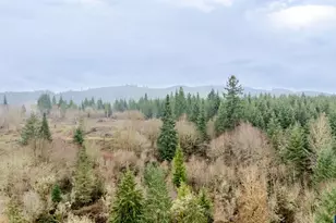 30610 Santiam Hwy, Lebanon, OR 97355 - Photo 44