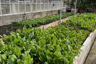 3937 Cousteau Dr SE, Salem, OR 97302 - Photo 24