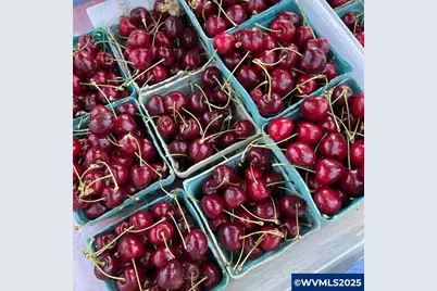 3937 Cousteau Dr SE, Salem, OR 97302 - Photo 22