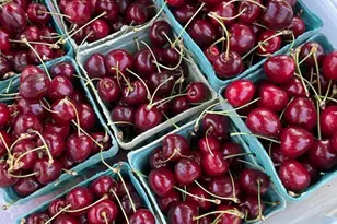 3937 Cousteau Dr SE, Salem, OR 97302 - Photo 22