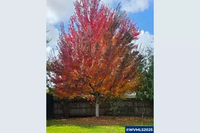 3714 Lafayette St SE, Albany, OR 97322 - Photo 18