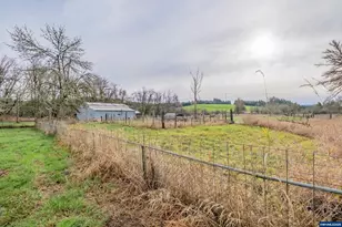 40874 228 Hwy, Sweet Home, OR 97386 - Photo 38